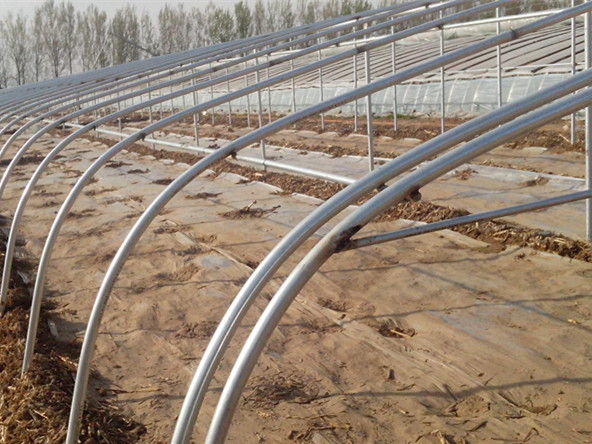 大棚管8 - 天津宝腾钢管销售有限公司